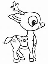 Animal Coloring Pages 17  Kids sketch template
