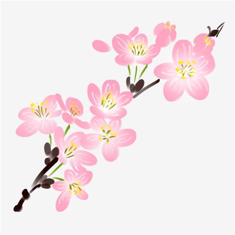 Cherry Blossom Flower Clipart Vector, Cartoon Pink Cherry Blossoms Flower, Cherry Blossom ...