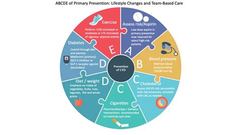 How Do Disease Prevention Programs Try to Reduce Cardiovascular Disease