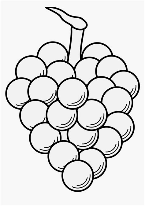 Grapes Line Drawing Black And White, HD Png Download - kindpng