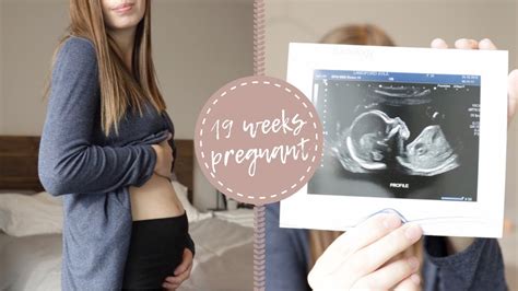 19 Weeks Pregnant! | Anatomy Scan & Gender Reveal! - YouTube