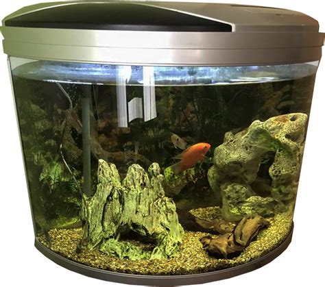 Fish Tank Aquarium Gallon Transparent PNG - PNG Mart