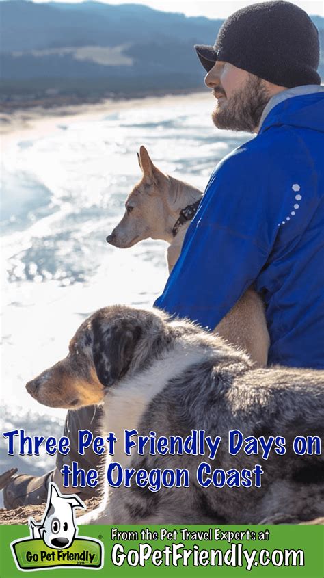 Three Pet Friendly Stays On The Oregon Coast | GoPetFriendly