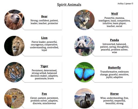 Spirit Animals – Hub For Helpers