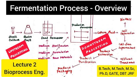 Fermentation Process | Upstream Processing | Downstream Processing @biotechnotebook - YouTube