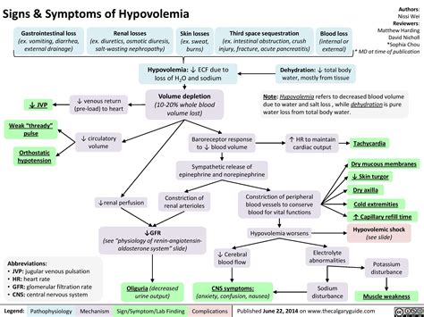 Signs and Symptoms of Hypovolemia | Calgary Guide