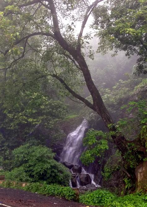 Magic of Monsoon – Awestruck @ Amboli Ghat!