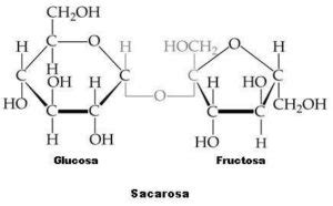 ¿Qué es la sacarosa? | Blog El Insignia