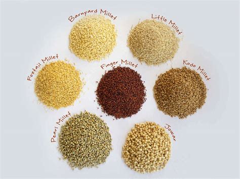 Millet Farming Sees Boost in Indian Agriculture
