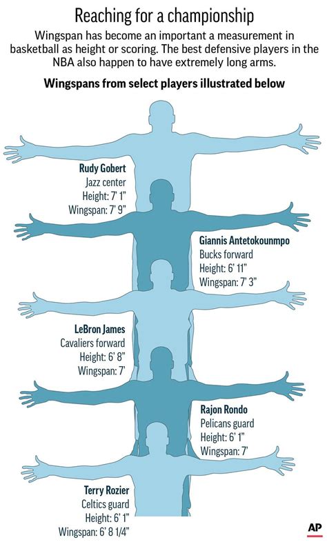 NBA teams paying closer attention to players' wingspan | KBAK