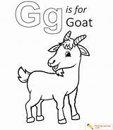Dairy Goat Coloring Pages Haw To Draw Colouring sketch template