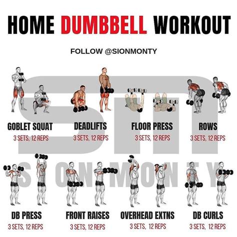 Home Dumbbell Workout by @sionmonty - Follow @gym_fit_union | Full body weight workout, Dumbbell ...