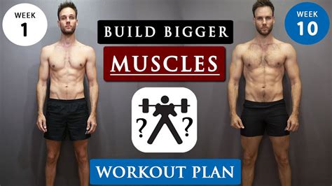 Muscle Gain Workout Plan | seeds.yonsei.ac.kr