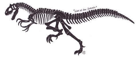 Allosaurus skeleton by XenoTeeth3 on DeviantArt