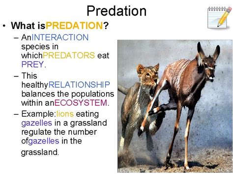 Interactions How do ORGANISMS in an ECOSYSTEM interact