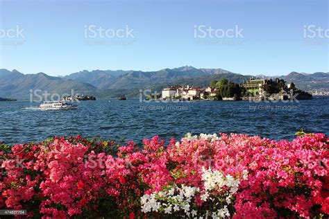 Ferries Of Lago Maggiore View Isola Bella And Isola Pescatori Stock Photo - Download Image Now ...