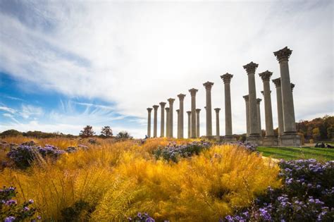 Fall Day at the National Arboretum in Washington DC