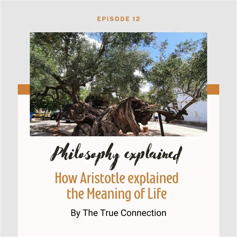 How Aristotle explained the Meaning of Life - Ancient Greek philosophy explained - Philosophy ...