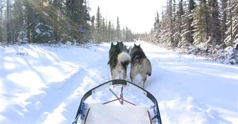 Wapusk National Park of Canada | Travel Manitoba