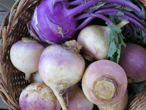 What Is A Purple Root Vegetable - Best Vegetable In The World