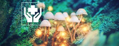 5 Surprising Benefits of Magic Mushrooms - Zamnesia Blog