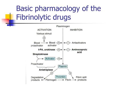 PPT - Drugs used in coagulation disorders PowerPoint Presentation, free download - ID:5630055