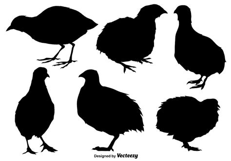 Vector Set Of Quail Flat IconsSilhouettes 159847 Vector Art at Vecteezy