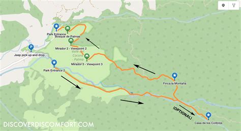 The Ultimate Valle de Cocora Hiking Guide | Discover Discomfort