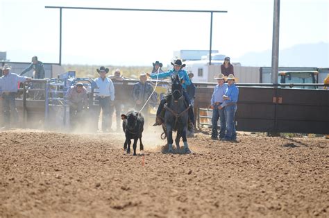 Gallery — New Mexico Rodeo Association