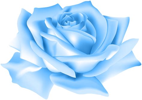 Blue rose Clip art - rose png download - 600*427 - Free Transparent Blue Rose png Download ...