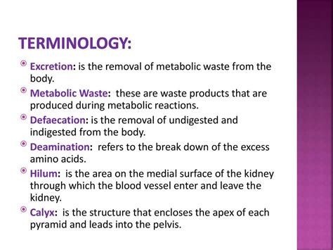 KNOWLEDGE AREA: Life Process in Plants and Animals. - ppt download