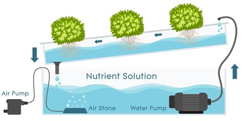 Nutrient Film Technique (NFT) - AGrowTronics - IIoT For Growing