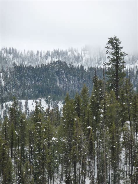 Winter in Idaho's mountains. | Mountains, Natural landmarks, Outdoor