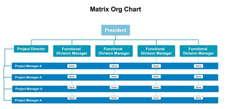 What Is a Matrix Organizational Chart and How To Make Them - EdrawMind