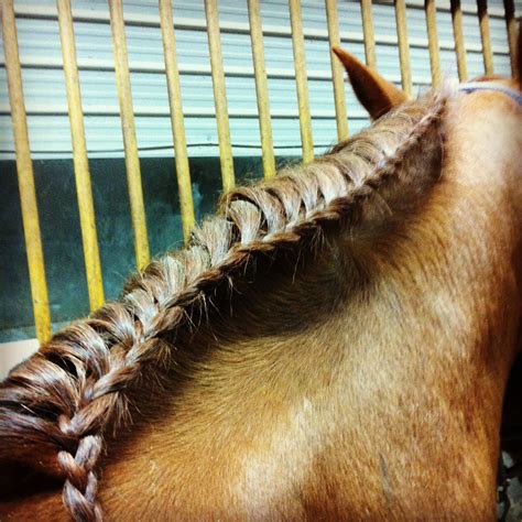 Running Braid in a horse mane - pretty, fast and easy to do! | Horse braiding, Horse mane ...