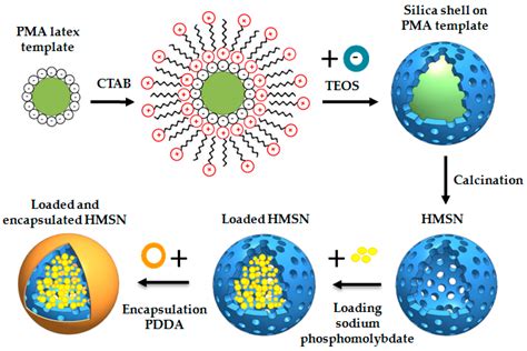 Nanomaterials | Free Full-Text | Synthesis and Characterization of Hollow Mesoporous Silica ...