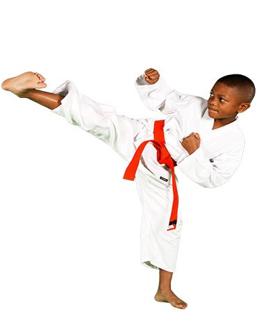 Master Chang's Martial Arts | Children's Taekwondo Classes in Raleigh, Cary, Durham, & Chapel ...