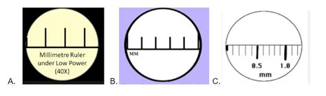 IV - Microscopes - Determining Field of View - Kathy Egbert | Library | Formative