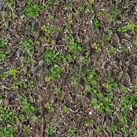 Soil with the Sprouted Grass Texture Seamless. Stock Photo - Image of green, grow: 29898878