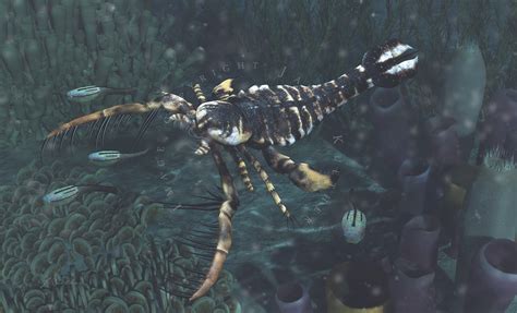 Megalograptus and Astraspis by PaleoGuy on DeviantArt