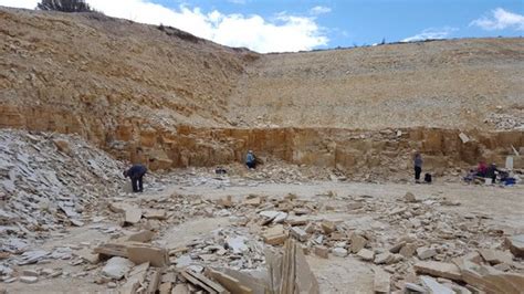 Fossil Safari at Warfield Fossil Quarries (Kemmerer, WY): Top Tips Before You Go - TripAdvisor