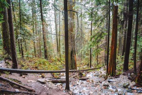 12 EPIC Hiking Trails In & Around Vancouver, Canada