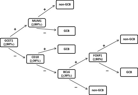 The Choi algorithm was used to determine GCB and non-GCB subtypes of ...