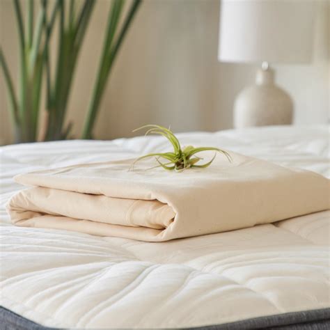 Waterproof Mattress Protector With Organic Materials | Brentwood Home