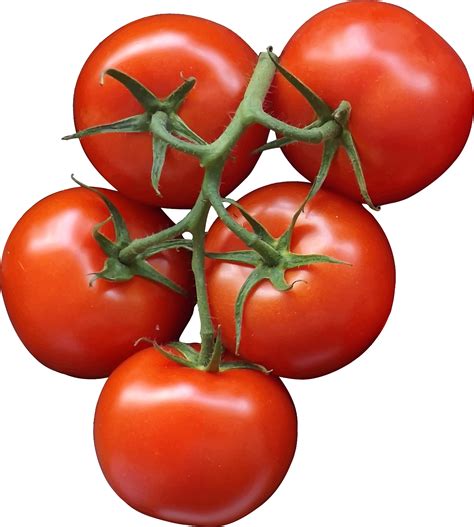 Transparent Tomato Clipart Tomato Png Free Transparent Clipart | The Best Porn Website