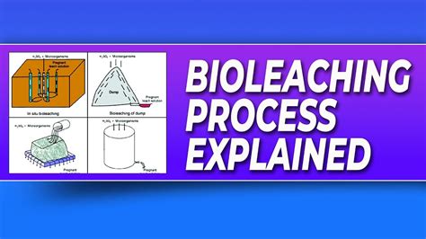 Bioleaching Process - YouTube