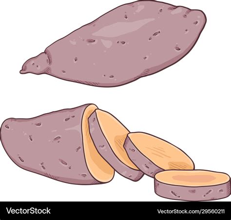 Cartoon sweet popato yam Royalty Free Vector Image