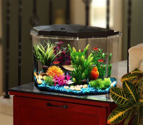 Fish Tank Supplies Victoria - Wese Aquarium Fish