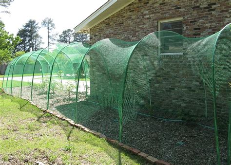 Garden Bird Netting Frame | Fasci Garden