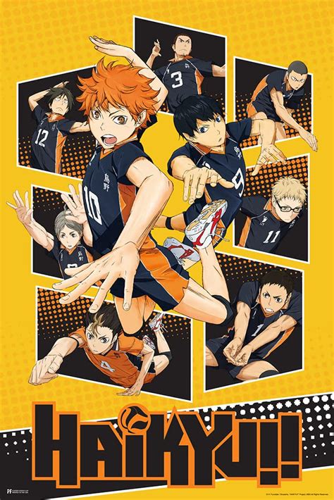 Buy Haikyuu Karasuno High School Volleyball Team Shoyo Anime Stuff ...